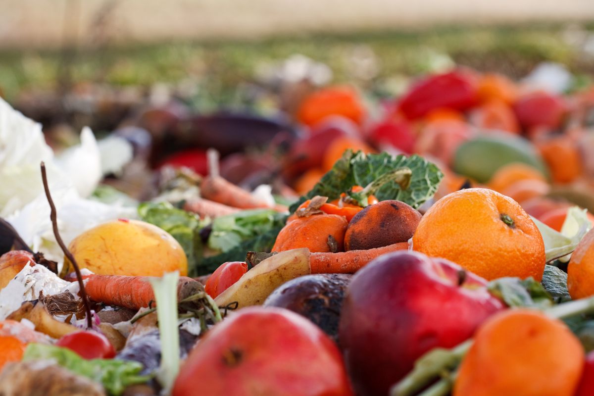 Reducing Waste in Food Warehousing Through Sustainable Operations